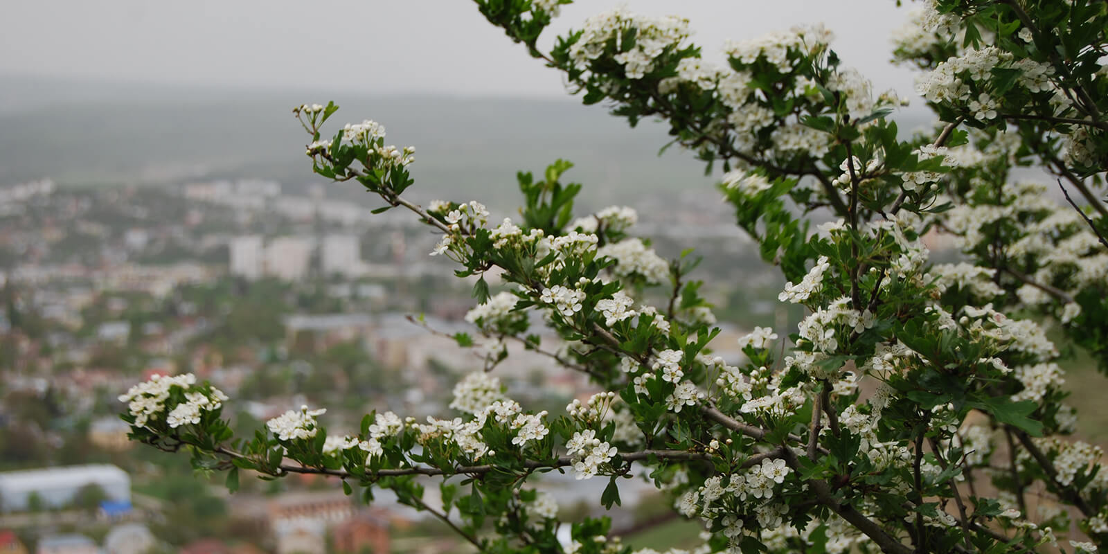 Best Time to Visit Georgia for Couples