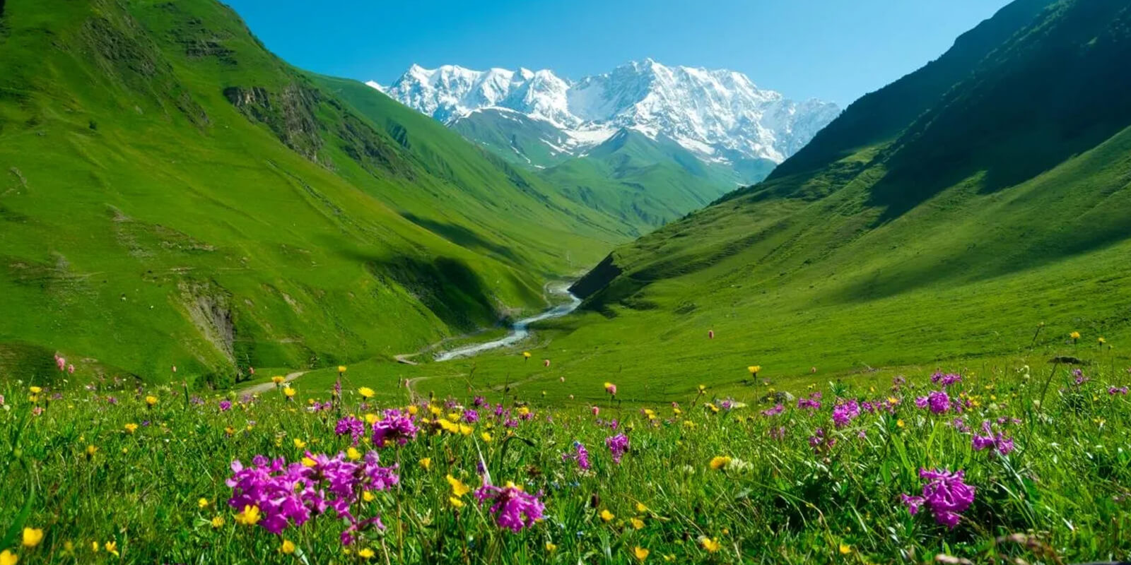 Spring in Georgia for couples